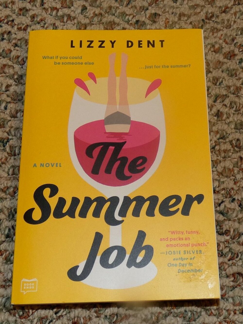 The Summer Job by Lizzy Dent